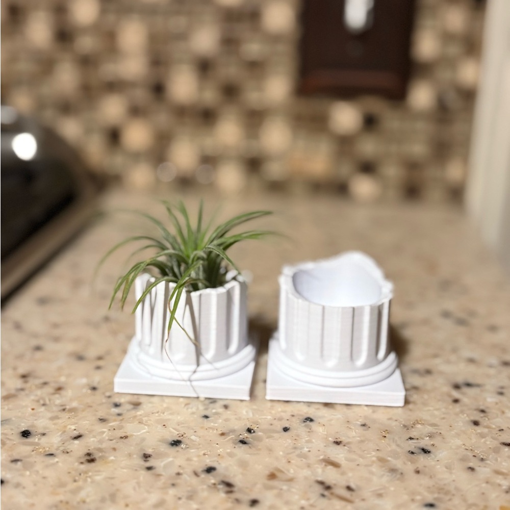 White Column Air Plant holder